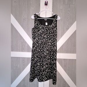 215. Ann Taylor Black & White Dress 4
